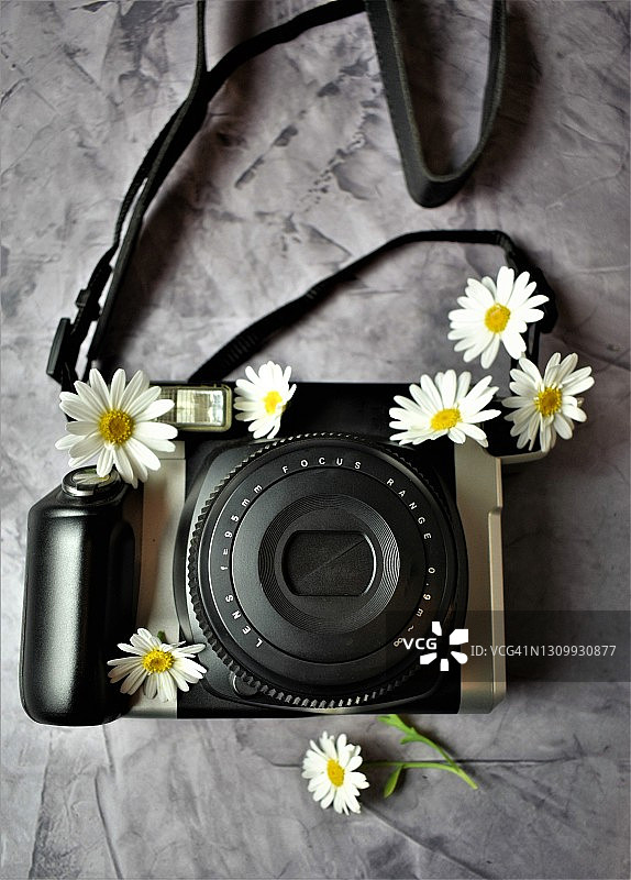 雏菊环绕的速食相机图片素材