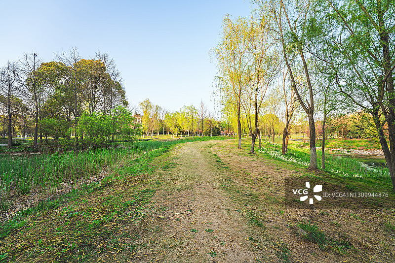 春季自然公园图片素材