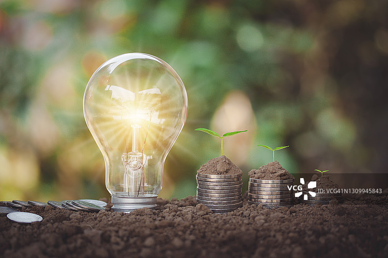 灯泡、土壤与树木：节约用电，绿色能源与财富增长图片素材