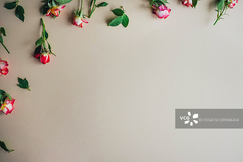 带小玫瑰的美丽米色背景图片素材