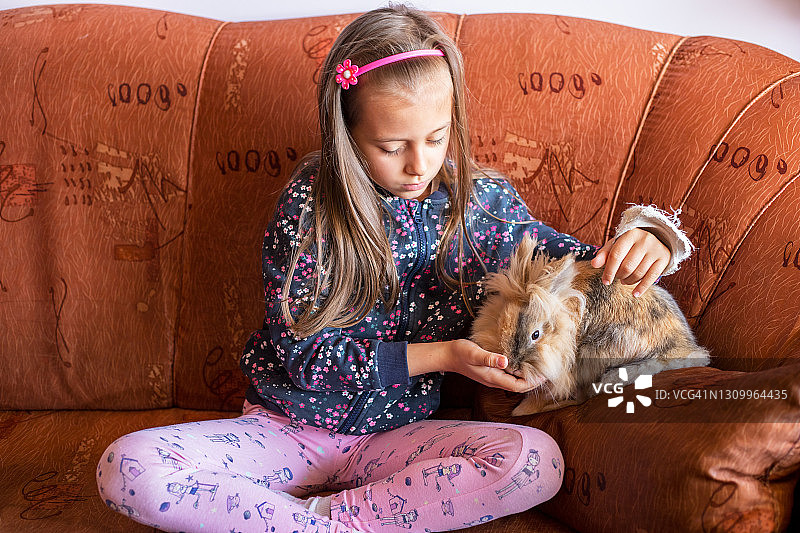 女孩在玩兔子图片素材