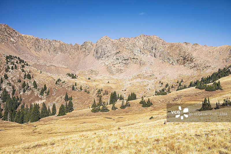 鹰巢荒野风光图片素材