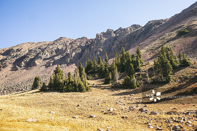 鹰巢荒野风光图片素材