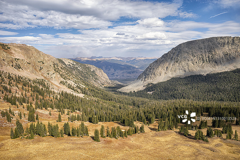 科罗拉多州雄鹰巢穴荒野中的布法罗山图片素材