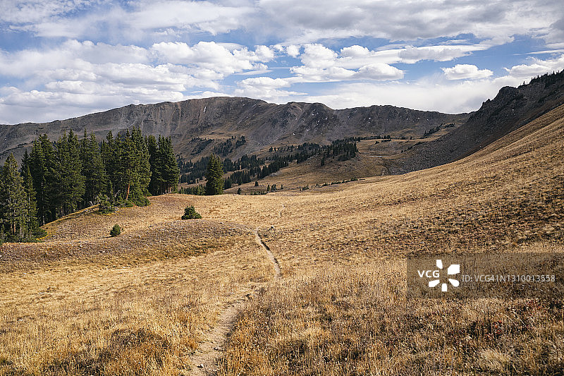科罗拉多州鹰巢荒野的徒步小径图片素材