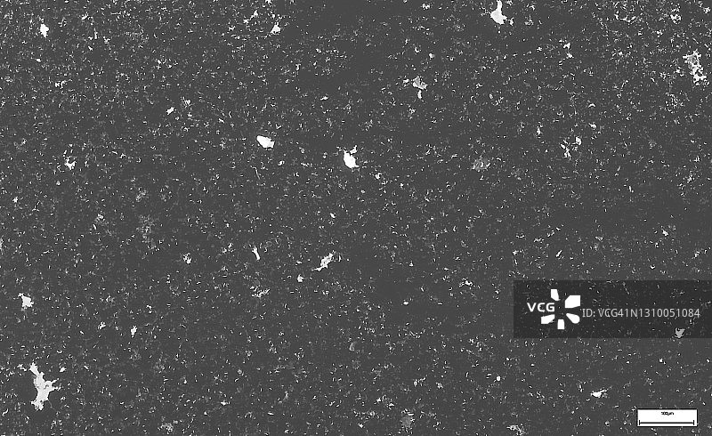 显微镜下的人肝组织，免疫荧光显微照片，器官样本，组织学检查，显微镜下的组织病理学图片素材