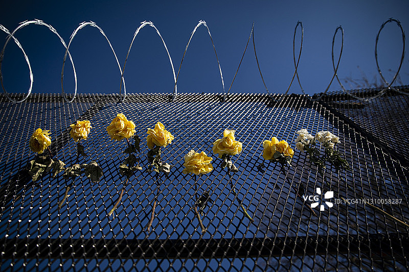防护栅栏上的鲜花图片素材