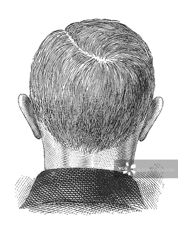 男子后脑勺古老雕刻插图图片素材