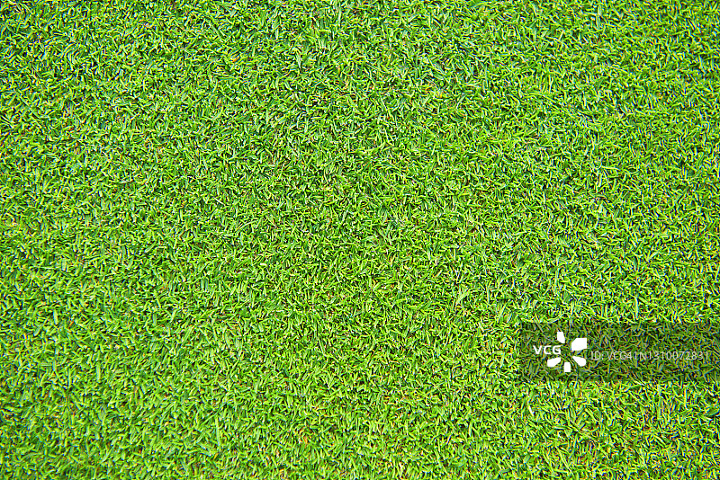 高尔夫球场绿地图片素材