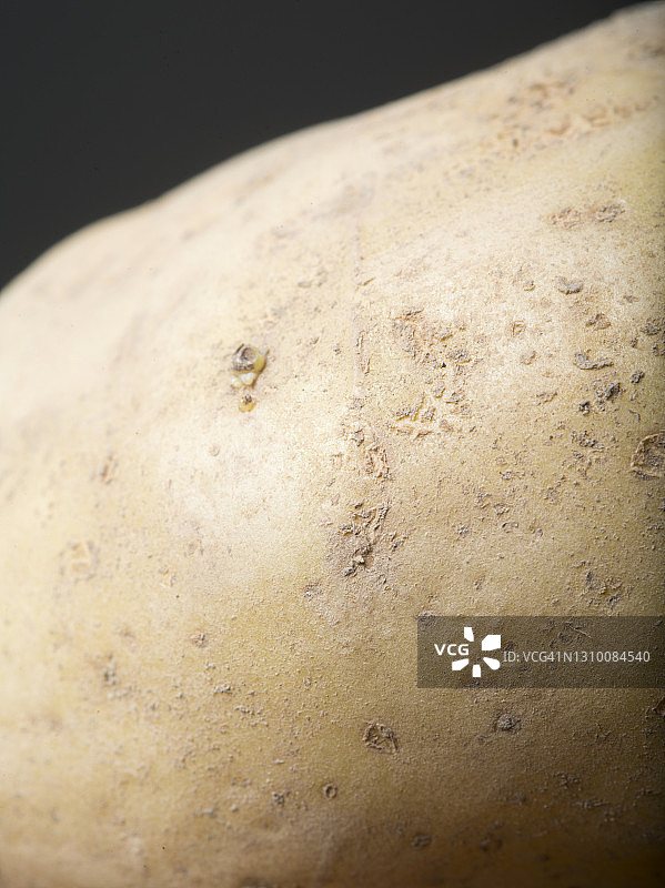 生马铃薯图片素材