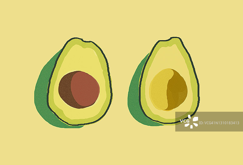 浅绿色背景上的牛油果插画图片素材
