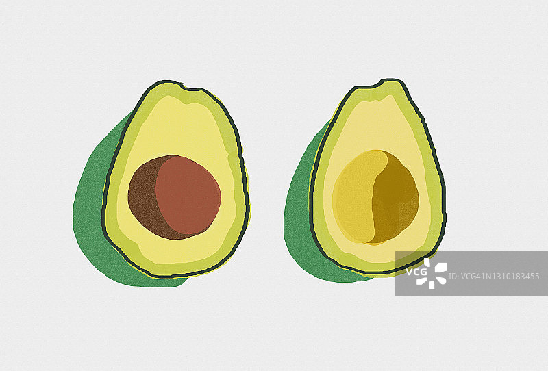 白色背景上的牛油果插图图片素材