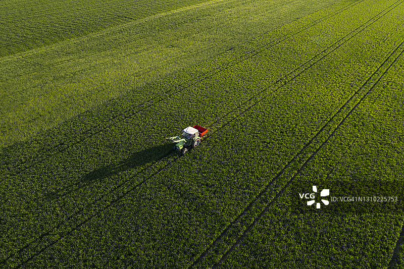 有拖拉机的绿色麦田航拍图片素材