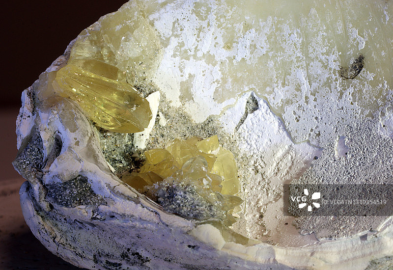 在佛罗里达州发现的化石贝壳内的方解石晶体图片素材