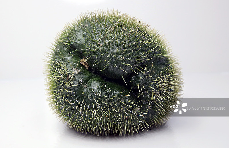 食物背景：刺果佛手瓜图片素材