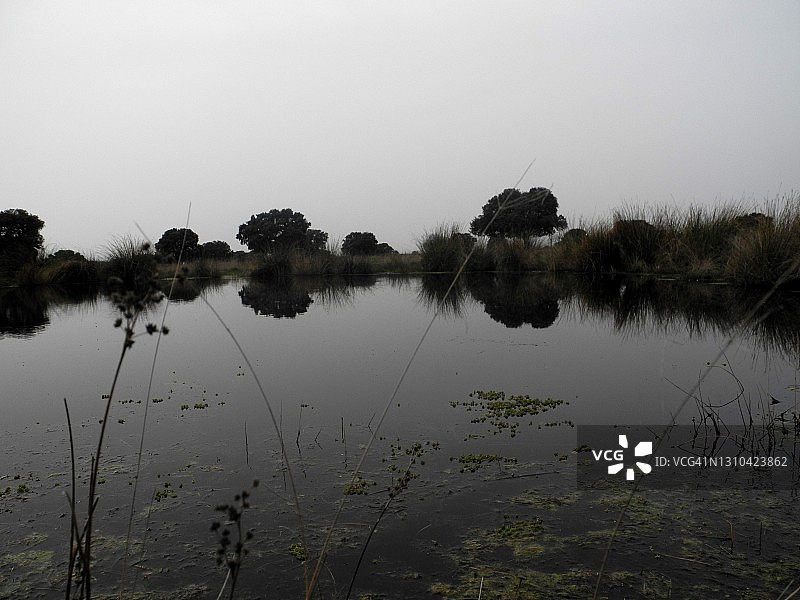 西班牙卡瓦ñeros国家公园池塘图片素材