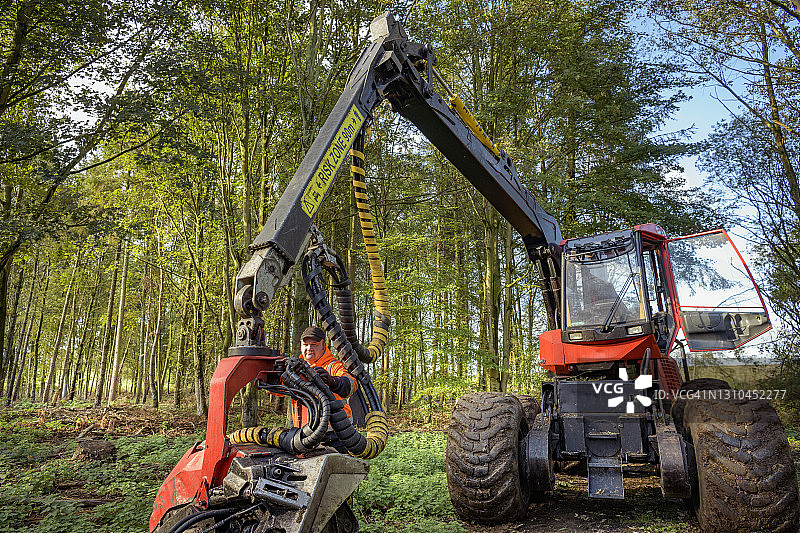 可持续森林中的伐木机操作员图片素材