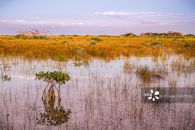 埃弗格莱兹国家公园图片素材