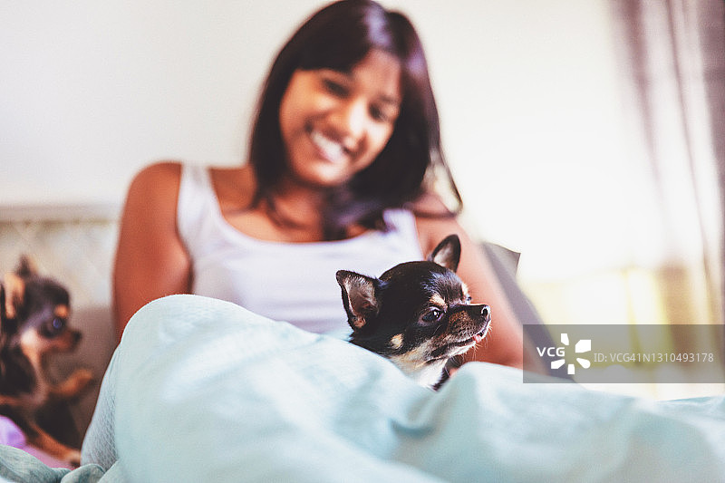 女孩在小鹿犬的嬉戏中醒来图片素材