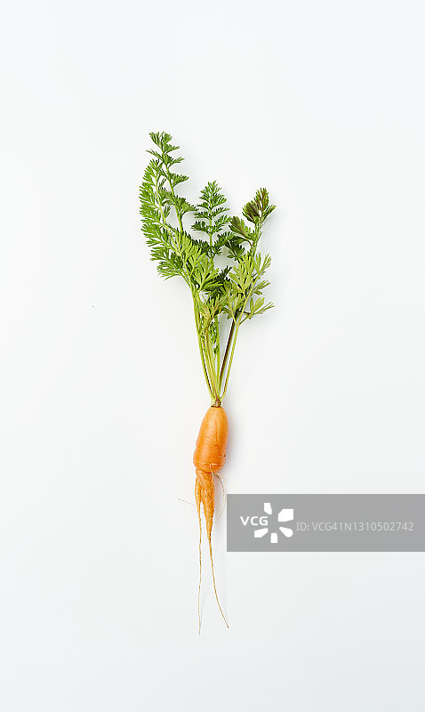 白色背景上的异形新鲜胡萝卜图片素材
