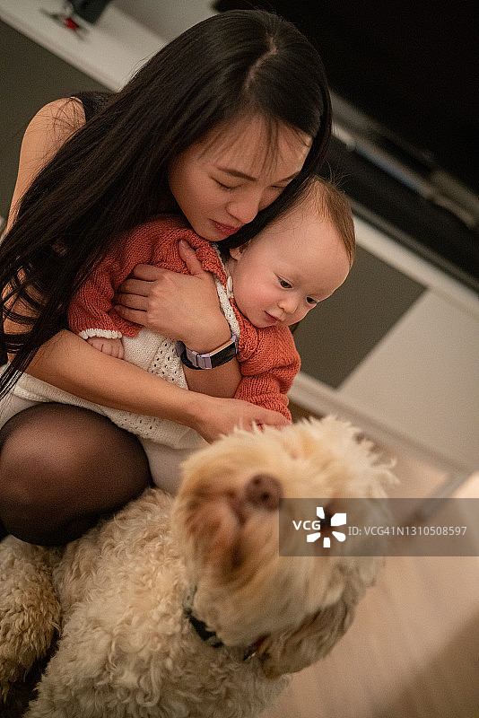 母亲带孩子认识贵宾犬图片素材