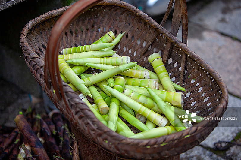 篮子里的干净竹笋图片素材