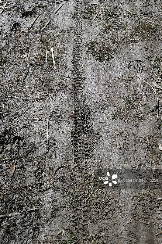泥泞小路上的自行车胎印图片素材