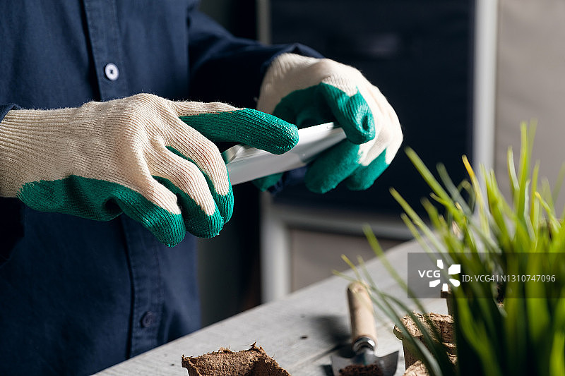 园艺博主拍摄家庭花园照片和视频，手持手机，在泥炭盆中播种花卉、植物或蔬菜图片素材