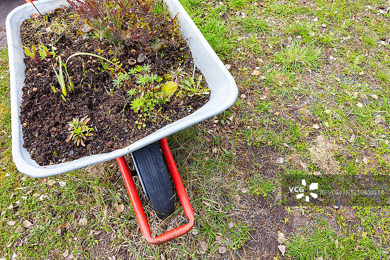 花园里的手推车图片素材