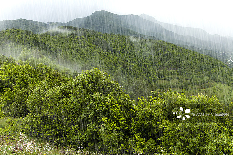 热带雨林图片素材