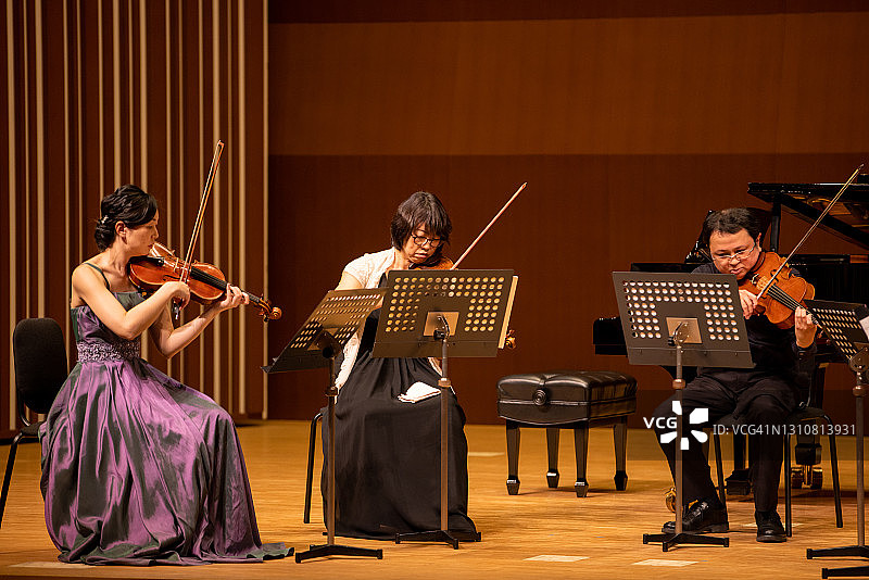在古典音乐会上演奏小提琴和中提琴的音乐家图片素材