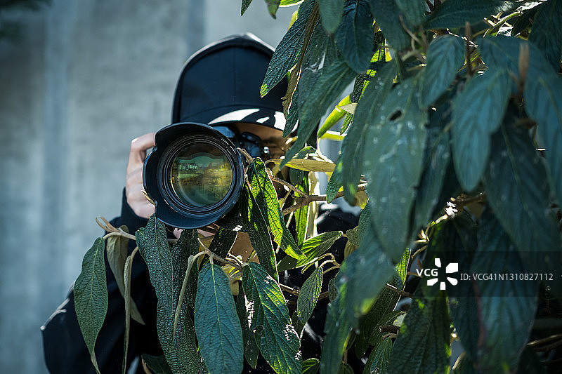 狗仔队图片素材