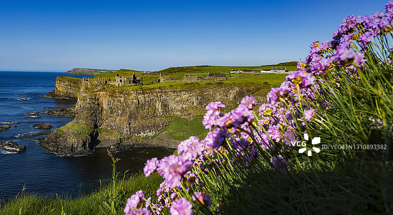 爱尔兰海岸邓路斯城堡遗址图片素材