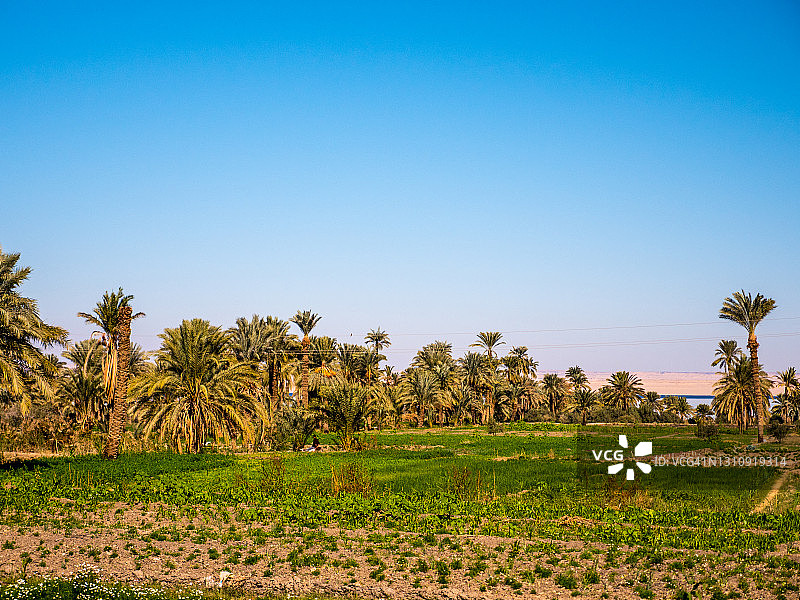 埃及法尤姆绿洲的自然美景图片素材