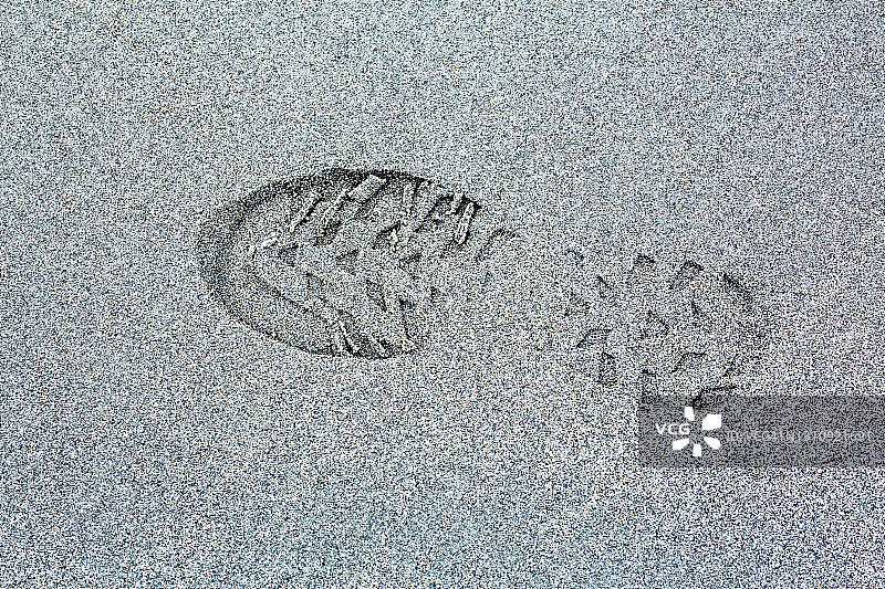 沙滩上的单个鞋印图片素材