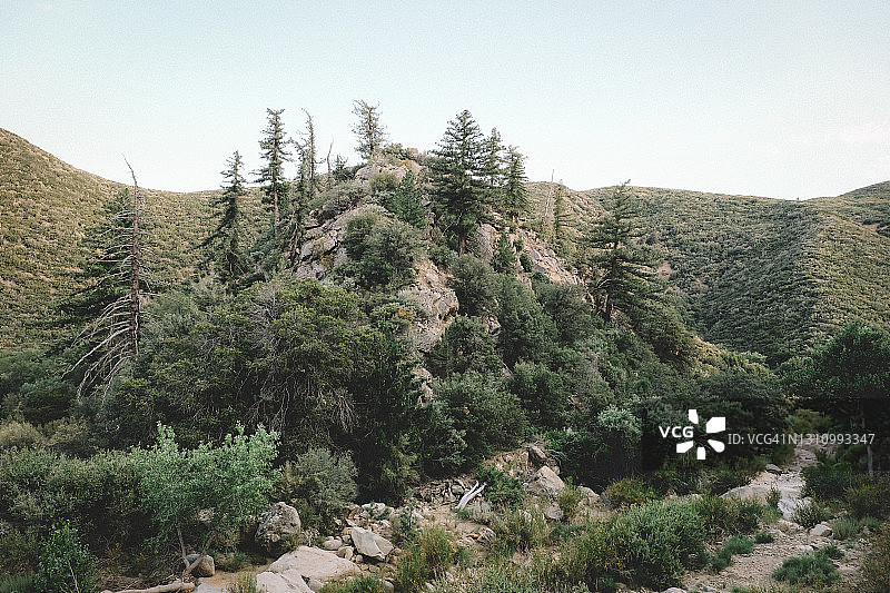 奥海上方的山丘上点缀着冷杉树图片素材