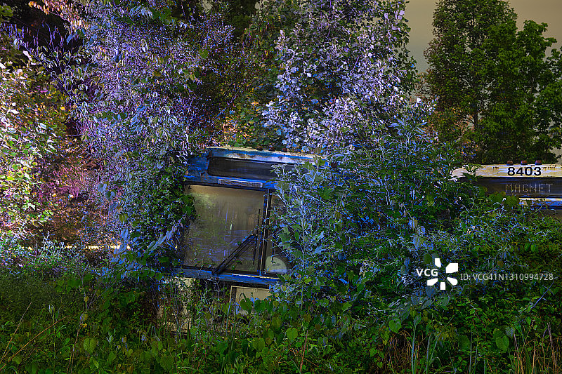 田纳西州乡村废弃巴士与茂密森林图片素材