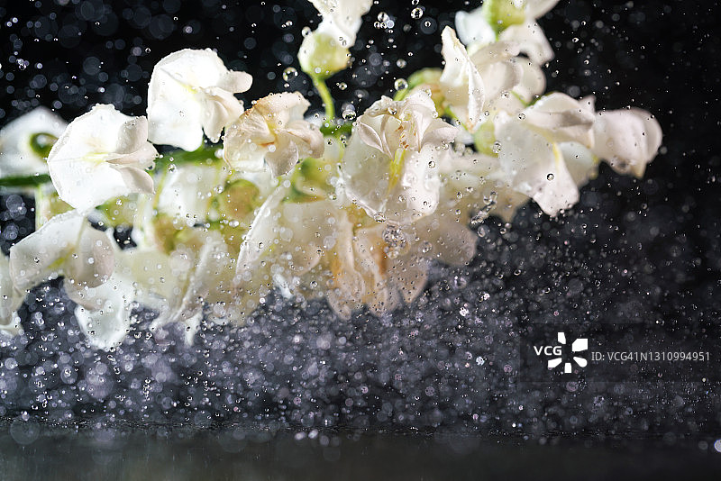 使用高速同步拍摄的半空中飞舞的槐花图片素材