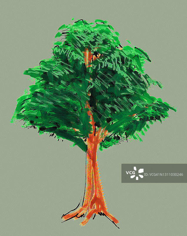 手绘树木插画图片素材