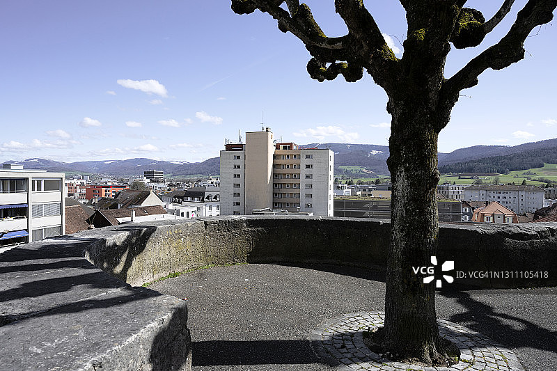 代勒蒙市的裸树图片素材