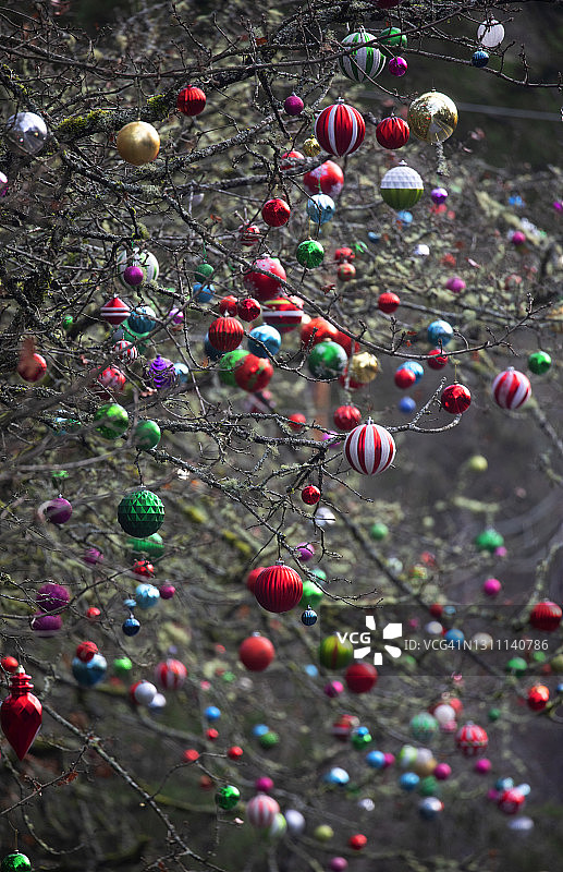 悬挂在公园里的圣诞装饰品图片素材