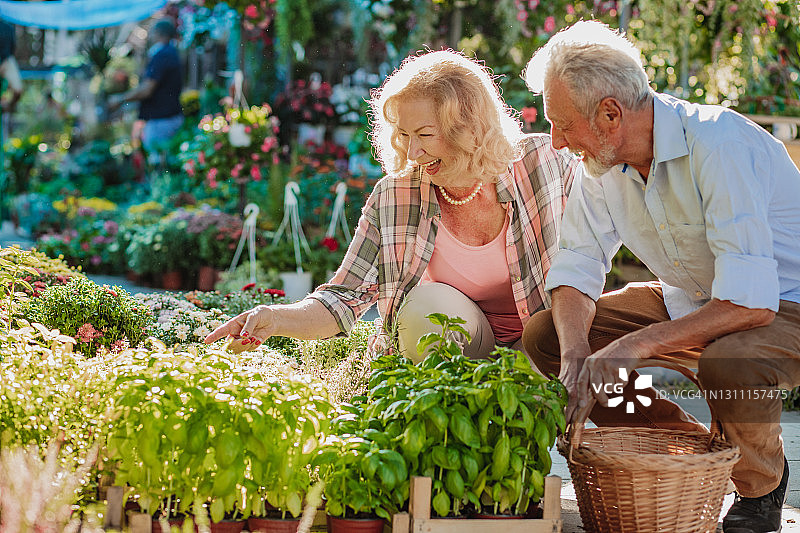 快乐的老年夫妇在市场购买植物图片素材