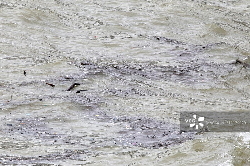 漂浮在水中的石油和其他碎片图片素材