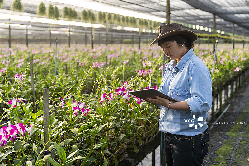 农民在兰花园工作图片素材