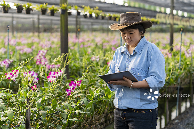 农民在兰花园工作图片素材