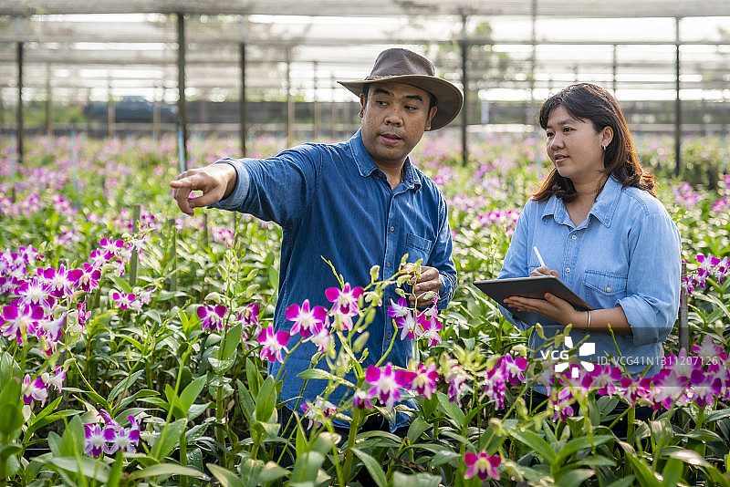 在兰花园劳作的农民图片素材