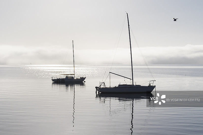 南澳大利亚艾尔半岛林肯港波士顿湾停泊的帆船图片素材