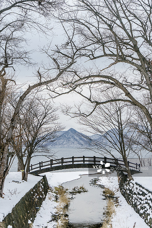 美丽的冬季风景和覆盖着积雪的干燥树枝图片素材