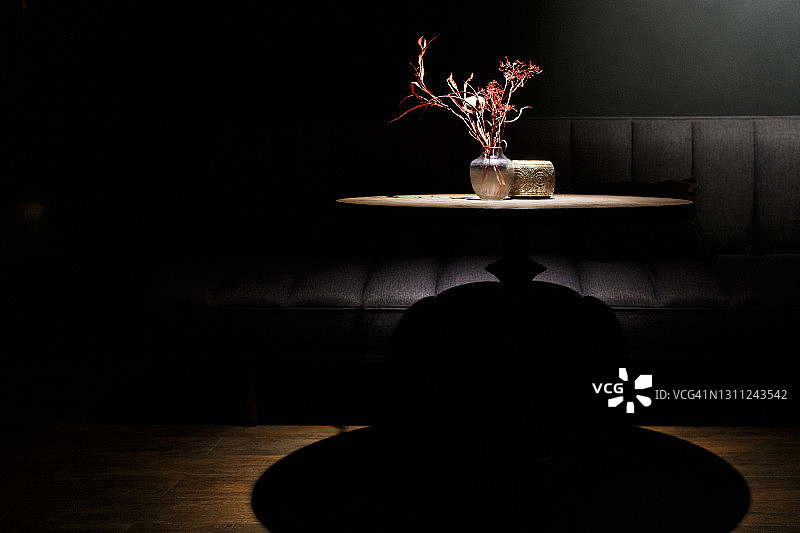 暗色内景中的干花花瓶图片素材