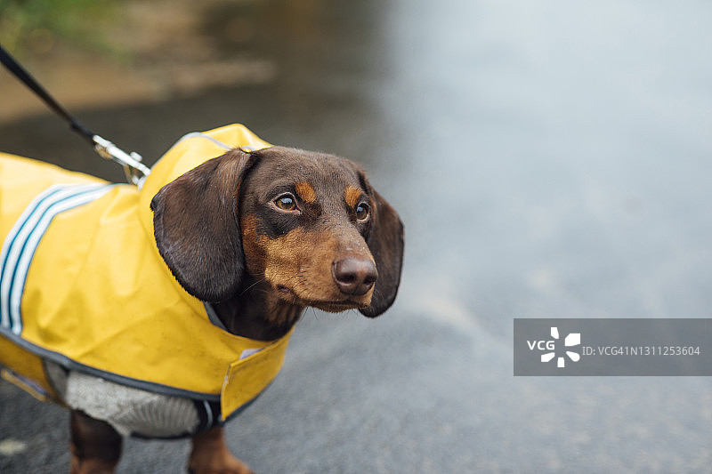 在雨中行走图片素材